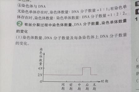 怎么辨别DNA分子数