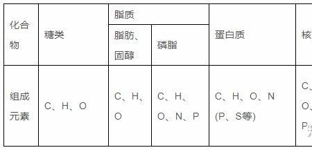 元素可分为哪三大类