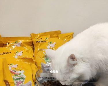 品种猫不吃猫粮可以吗