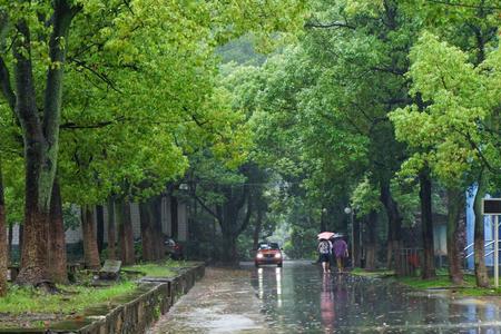 漫步听雨诗句