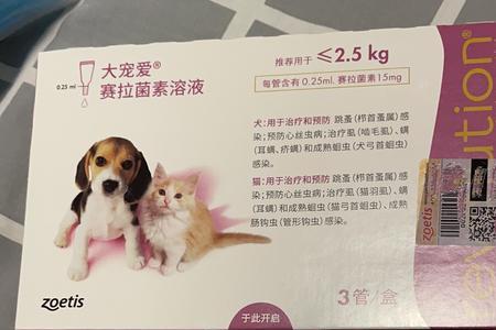 大宠爱成猫和幼猫的区别