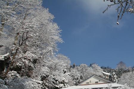 莫干山60岁免票吗