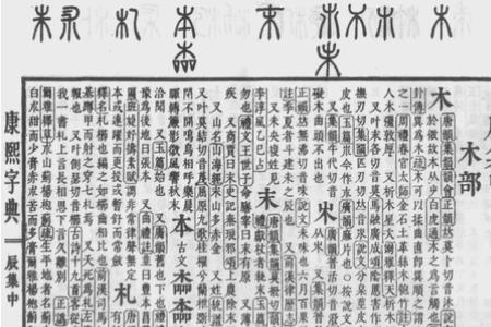 朱棣同音字