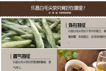 乐昌白毛茶冲泡方式