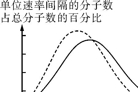 分子数百分率是什么