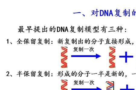 dna分子不同颜色区域表示什么