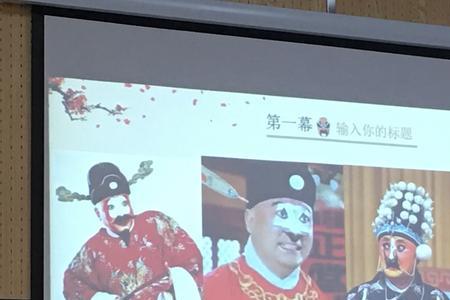 花脸属于什么