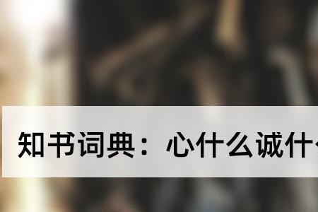 带诚字的成语