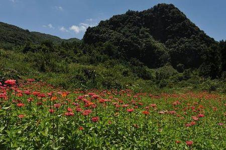 綦江高坝海拔多少米