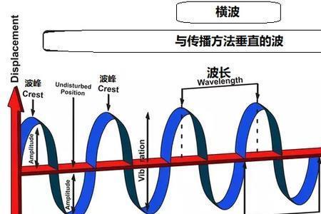 超声波和无线电波的共同特点是