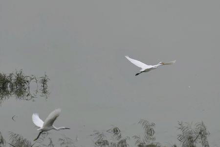 乘好风去长空万里寓意