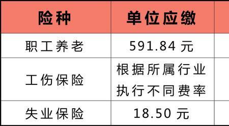 补缴2001-2007年社保滞纳金多少