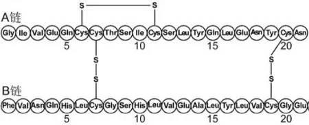 肽链之间通过什么连接