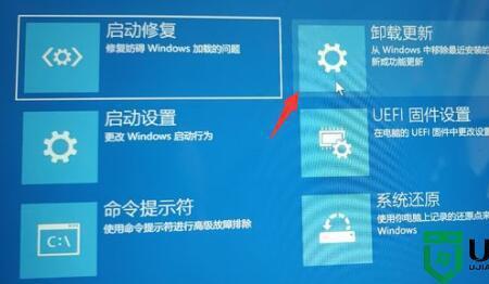 win11回退按钮怎么消失了