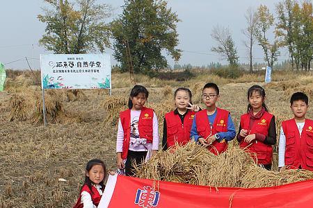 分外高兴读音是什么