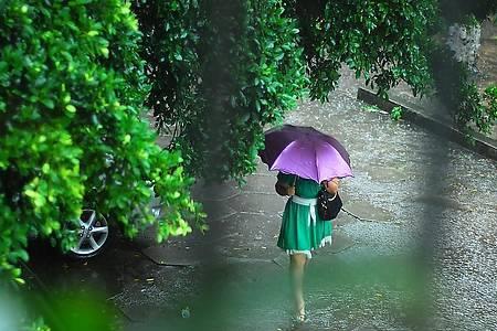 雪中送炭与雨后送伞的相关