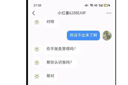 你那人是什么意思