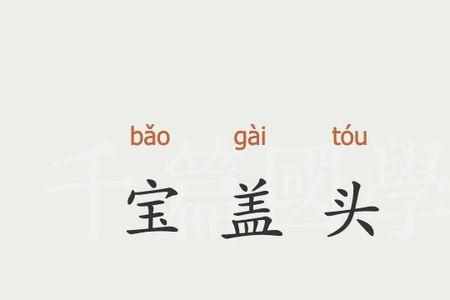 一个宝盖头一个总是什么字