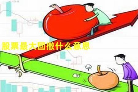 最大回撤2%是什么意思