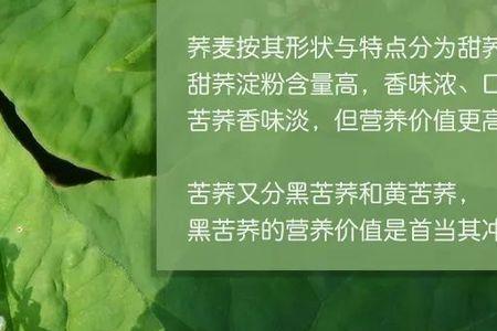 苦荞麦馒头升糖指数