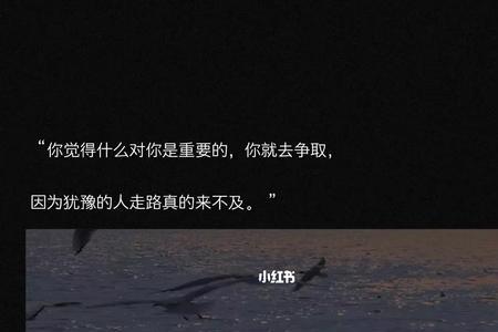 但愿殊途同归是什么意思