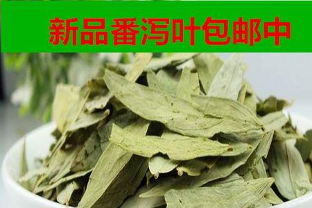 番茄叶和荷叶有什么区别