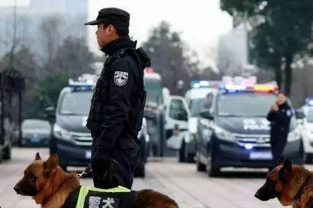 什么人都可以当警犬吗