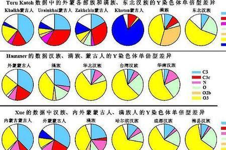 为什么更认同父系血统