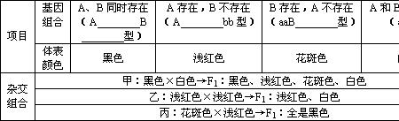 aabb算纯种吗