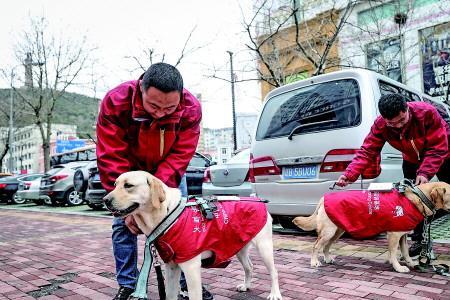 河北有导盲犬基地吗