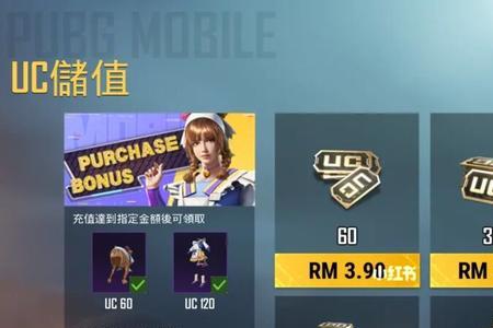 pubg国际服强检是多久