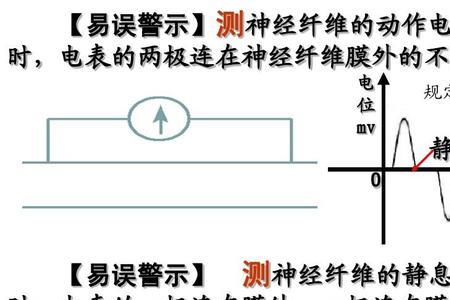 判断电势高低用左手还是右手