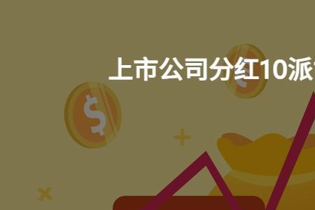 公司分红是什么意思