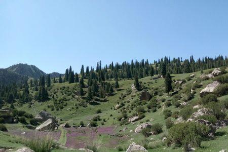 天山坪大峡谷门票多少