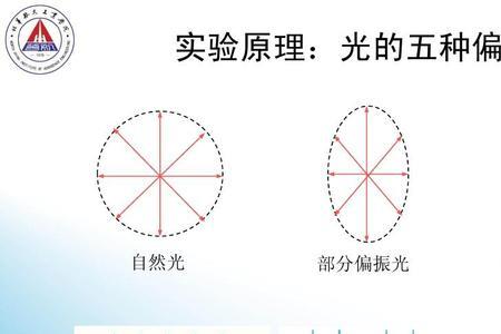 偏振光干涉仪原理