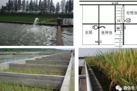 养鱼观赏销售模式新思路