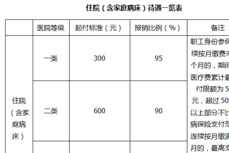 小城镇医保报销明细