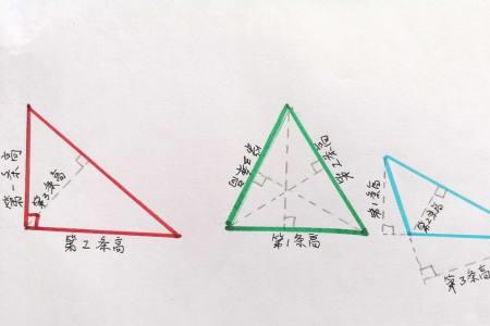 直角三角形的高和底是多少