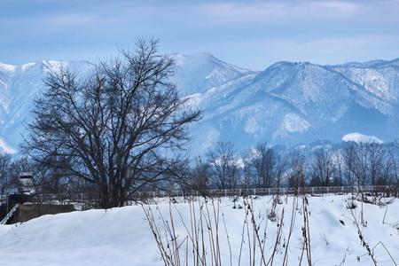 冬有雪夏有风原文