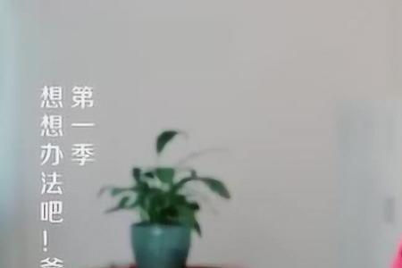 想想办法吧爸爸陈飞宇第几期