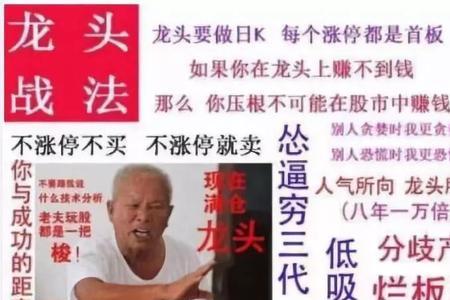 自从学会了炒股的搞笑段子