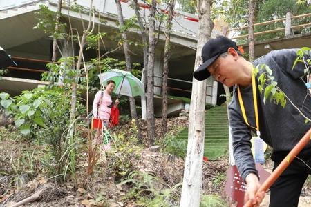 森林登山镐可以攀爬大坑吗