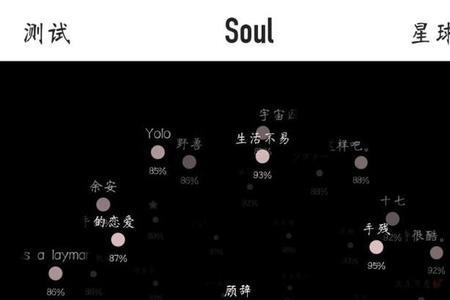 soul匹配是双向还是单向