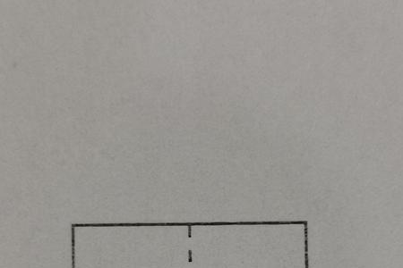 犬字旁的字和什么有关一年级