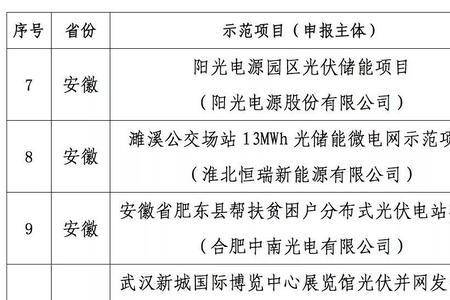 四川光伏企业排名