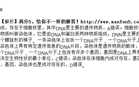 DNA复制和染色体复制有区别吗