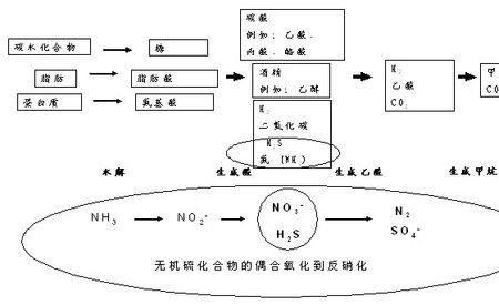 硫化氢的水解