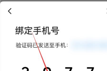 易次元被绑定手机号了怎么办