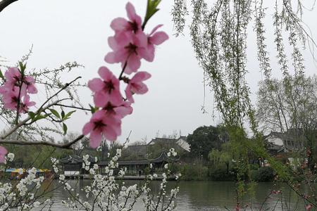 瘦西湖汪沆古诗注音