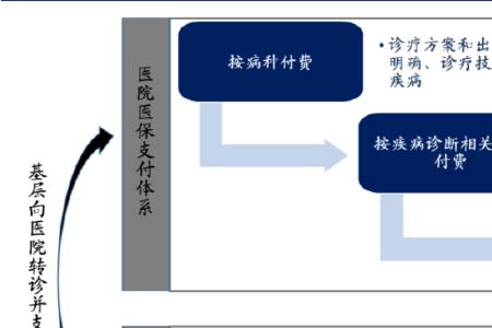 什么叫医保的信用支付